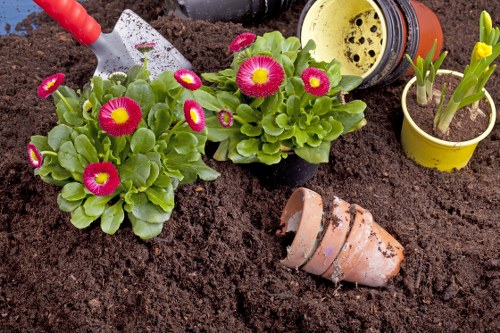 Gardening service terms and conditions page with outdoor service contract text
