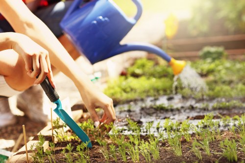 Garden maintenance in Chadwell Heath with a tidy lawn and trimmed borders
