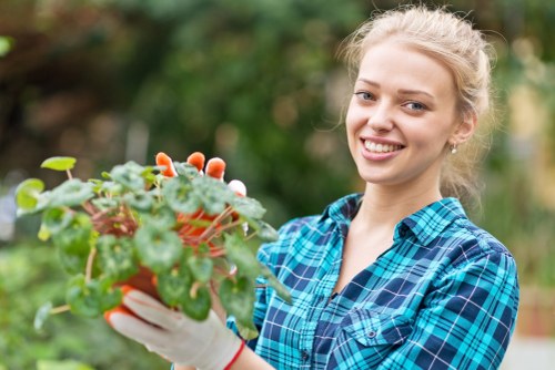 Illustration representing accessible Gardeners Chadwell Heath content