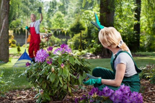 Professional garden upkeep in Chadwell Heath including lawn and weed care