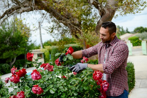 Accessibility-focused image for Chadwell Heath gardening information