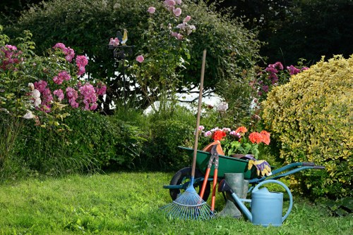 Seasonal garden care carried out in Chadwell Heath