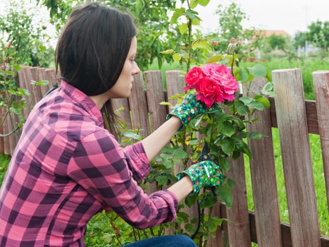 Professional decking services creating a garden platform