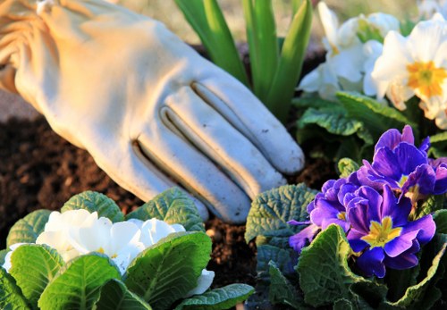 Professional garden maintenance in Chadwell Heath