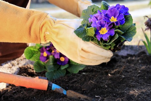 Resolving a landscaping issue through a fair process
