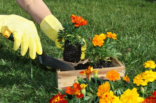 Garden waste and debris removal service in Chadwell Heath