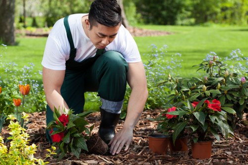 Zero-tolerance policy in a Chadwell Heath gardening business