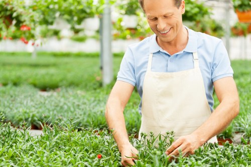Final review of a gardening complaints procedure