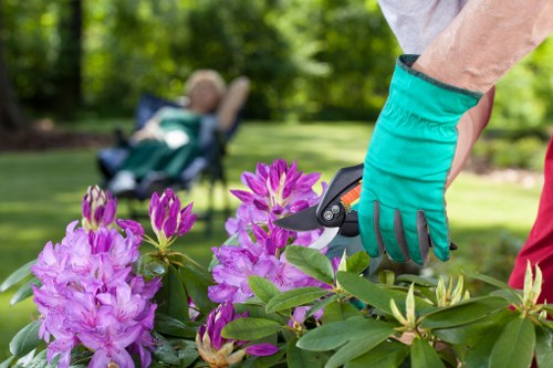 Aeration and feeding treatment for a lawn in Chadwell Heath
