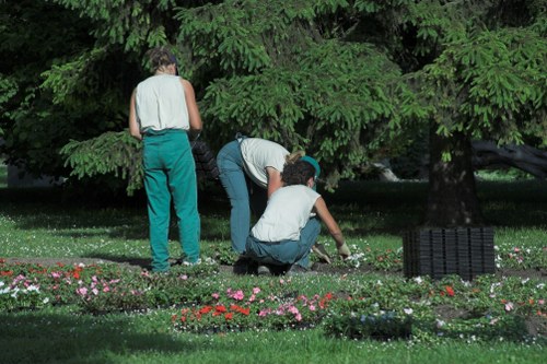 Seasonal garden maintenance in Chadwell Heath for healthy outdoor spaces