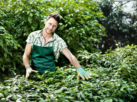 Seasonal planting and hedge trimming for a Chadwell Heath garden