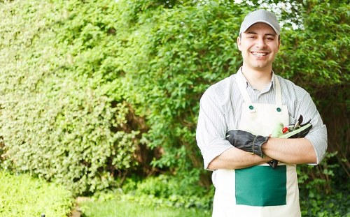 Cookie policy details for Gardeners Chadwell Heath website visitors