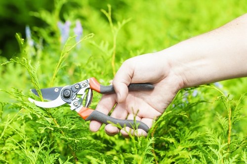 Lawn mowing and garden maintenance in Chadwell Heath