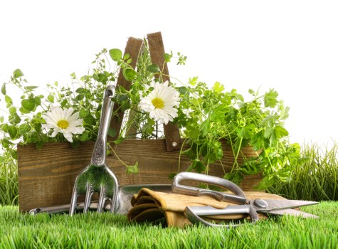 Reusable garden items set aside for charity partnership donation