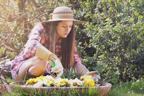 Seasonal lawn mowing service for Chadwell Heath homes