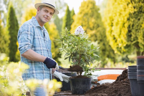 Safe and professional gardening work by Gardeners Chadwell Heath