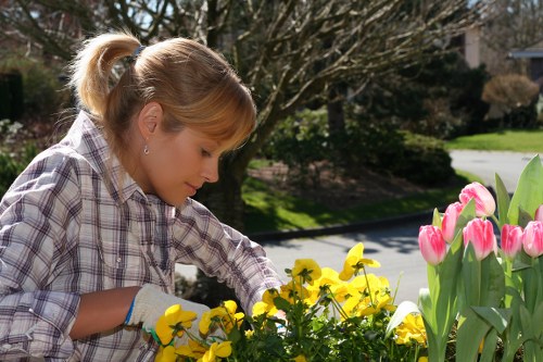 Recording a gardening concern with clear details