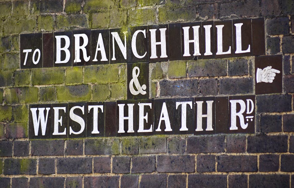 Close-up of a moss-covered brick wall displaying a rectangular street sign with black background and white lettering that reads 'TO BRANCH HILL & WEST HEATH RD.' The sign is attached to the weathered 