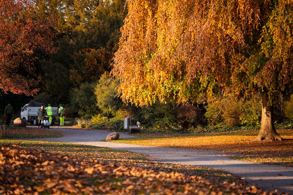 A scenic park pathway during autumn, with fallen orange and brown leaves covering the ground and a large deciduous tree with vibrant orange foliage on the right. The paved walkway curves through the s