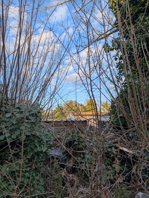 A metal wheelbarrow with a blue frame and black handles, filled with freshly cut green leafy branches, sits on a grassy lawn with dandelions and small white flowers scattered across the ground. The wh