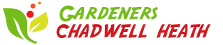 Gardeners Chadwell Heath